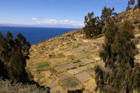 Einige der Terrassenfelder am Ortsausgang von Sampaya werden noch bewirtschaftet.